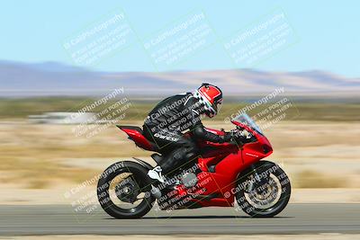 media/Mar-12-2022-SoCal Trackdays (Sat) [[152081554b]]/Back Straight Speed Shots (1045am)/